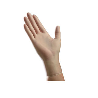 thumbnail image 2 of Vinyl Powder-Free Gloves - Latex Free - Choose Size: Small, Medium, Large, X-Large 2 of 6