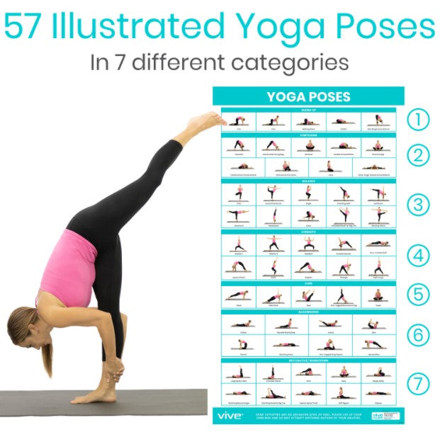 No Equipment Required Poster (3 Pack)